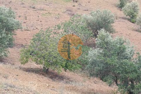 Helårsgrund i Castro Marim, Faro, Castro Marim - € 36.000 | Ref: SU-CS-TR-90763 - foto 6