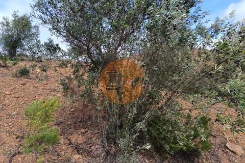 Helårsgrund i Castro Marim, Faro, Castro Marim - € 36.000 | Ref: SU-CS-TR-90763 - foto 7
