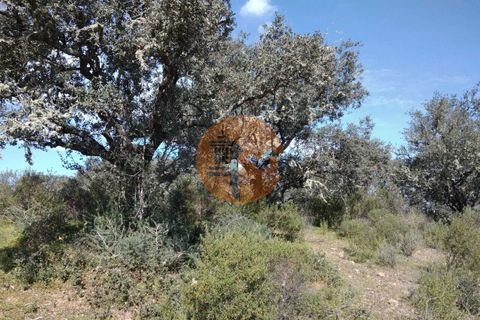 Helårsgrund i Castro Marim, Faro, Castro Marim - € 19.900 | Ref: SU-CS-TR-90789 - foto 20