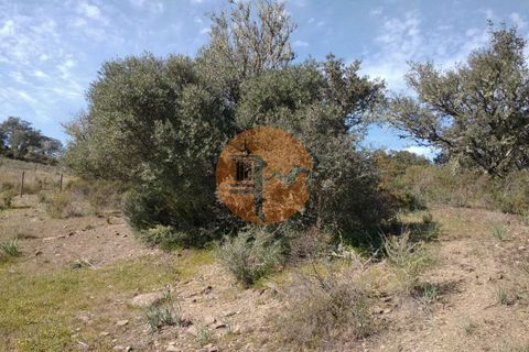 Helårsgrund i Castro Marim, Faro, Castro Marim - € 19.900 | Ref: SU-CS-TR-90789 - foto 25