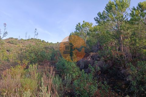 Helårsgrund i Castro Marim, Faro, Castro Marim - € 56.000 | Ref: SU-CS-TR-90873 - foto 10