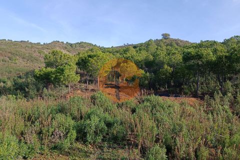 Helårsgrund i Castro Marim, Faro, Castro Marim - € 56.000 | Ref: SU-CS-TR-90873 - foto 19