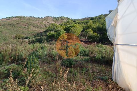 Helårsgrund i Castro Marim, Faro, Castro Marim - € 56.000 | Ref: SU-CS-TR-90873 - foto 22