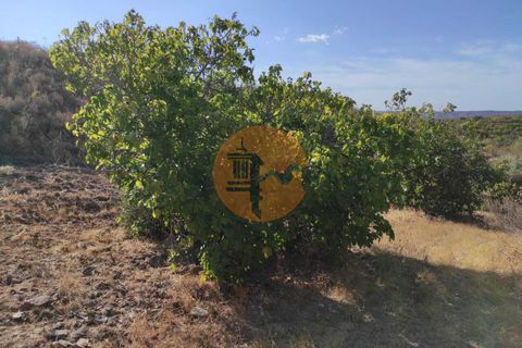 Helårsgrund i Castro Marim, Faro, Castro Marim - € 27.500 | Ref: SU-CS-TR-90909 - foto 1