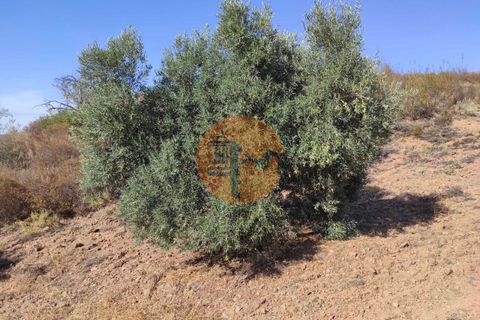 Helårsgrund i Castro Marim, Faro, Castro Marim - € 27.500 | Ref: SU-CS-TR-90909 - foto 4