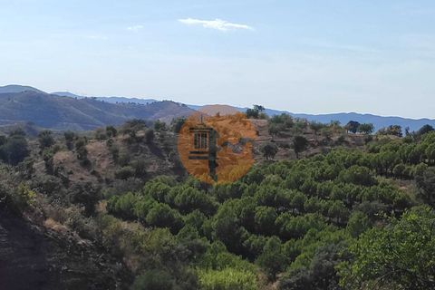 Helårsgrund i Castro Marim, Faro, Castro Marim - € 27.500 | Ref: SU-CS-TR-90909 - foto 9