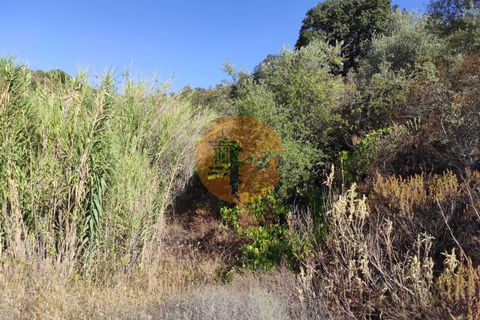 Helårsgrund i Castro Marim, Faro, Castro Marim - € 27.500 | Ref: SU-CS-TR-90909 - foto 17