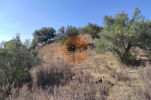 Helårsgrund i Castro Marim, Faro, Castro Marim - € 27.500 | Ref: SU-CS-TR-90909 - foto 20