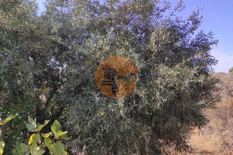 Helårsgrund i Castro Marim, Faro, Castro Marim - € 27.500 | Ref: SU-CS-TR-90909 - foto 23