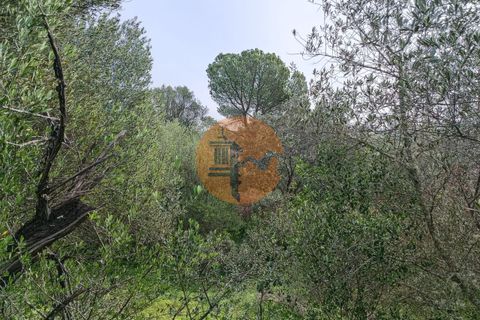 Grundstück in Alcoutim, Faro - Foto 5