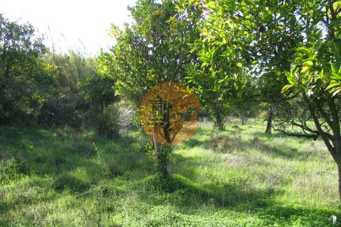 Helårsgrund i Castro Marim, Faro, Castro Marim - € 18.000 | Ref: SU-CS-TR-92926 - foto 1