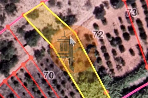 Helårsgrund i Castro Marim, Faro, Castro Marim - € 18.000 | Ref: SU-CS-TR-92926 - foto 17