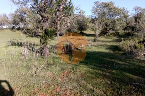 Helårsgrund i Paderne, Faro, Paderne - € 44.000 | Ref: SU-CS-TER_23873 - foto 1