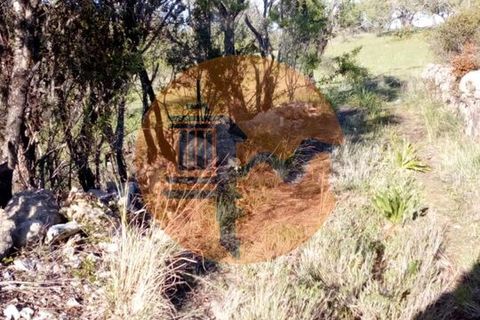 Helårsgrund i Paderne, Faro, Paderne - € 44.000 | Ref: SU-CS-TER_23873 - foto 6