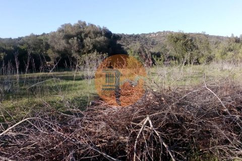 Helårsgrund i Paderne, Faro, Paderne - € 44.000 | Ref: SU-CS-TER_23873 - foto 7