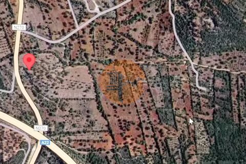 Helårsgrund i Paderne, Faro, Paderne - € 44.000 | Ref: SU-CS-TER_23873 - foto 14