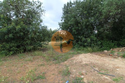 Helårsgrund i Albufeira, Faro, Albufeira - € 2.200.000 | Ref: SU-CS-TU-50535 - foto 15