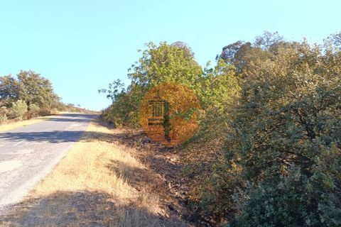 Helårsgrund i Castro Marim, Faro, Castro Marim - € 19.900 | Ref: SU-CS-TR-87742 - foto 8
