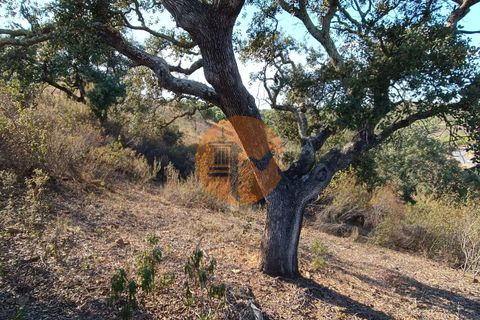 Helårsgrund i Castro Marim, Faro, Castro Marim - € 19.900 | Ref: SU-CS-TR-87742 - foto 21