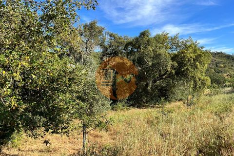 Helårsgrund i Loule, Faro, Loule - € 37.500 | Ref: SU-CS-TR-89911 - foto 2