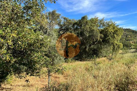 Helårsgrund i Loule, Faro, Loule - € 37.500 | Ref: SU-CS-TR-89911 - foto 5