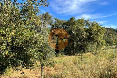 Helårsgrund i Loule, Faro, Loule - € 37.500 | Ref: SU-CS-TR-89911 - foto 10