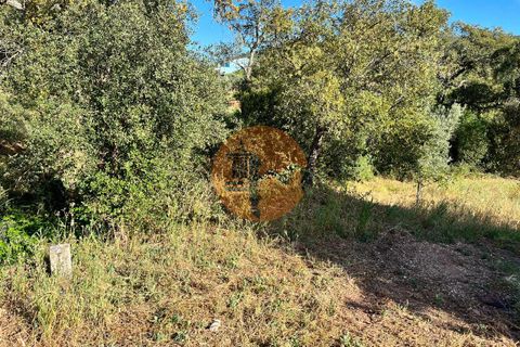 Helårsgrund i Loule, Faro, Loule - € 37.500 | Ref: SU-CS-TR-89911 - foto 11