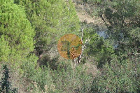 Helårsgrund i Castro Marim, Faro, Castro Marim - € 31.900 | Ref: SU-CS-TR-73088 - foto 10