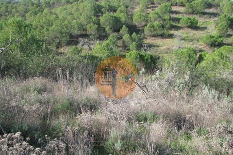 Helårsgrund i Castro Marim, Faro, Castro Marim - € 31.900 | Ref: SU-CS-TR-73088 - foto 15