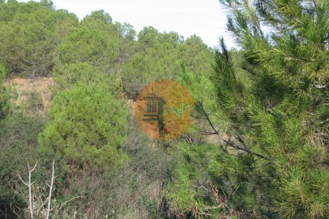 Helårsgrund i Castro Marim, Faro, Castro Marim - € 31.900 | Ref: SU-CS-TR-73088 - foto 16
