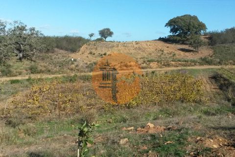Helårsgrund i Castro Marim, Faro, Castro Marim - € 16.000 | Ref: SU-CS-TR-82704 - foto 3