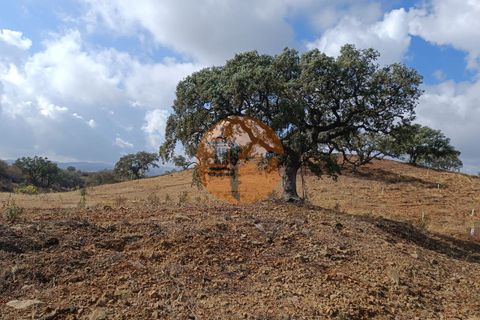 Helårsgrund i Castro Marim, Faro, Castro Marim - € 16.000 | Ref: SU-CS-TR-82704 - foto 13