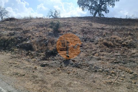 Helårsgrund i Castro Marim, Faro, Castro Marim - € 16.000 | Ref: SU-CS-TR-82704 - foto 19