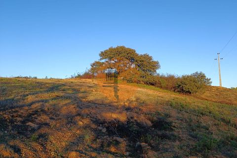 Helårsgrund i Castro Marim, Faro, Castro Marim - € 16.000 | Ref: SU-CS-TR-82704 - foto 20