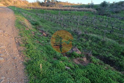 Helårsgrund i Castro Marim, Faro, Castro Marim - € 16.000 | Ref: SU-CS-TR-82704 - foto 21