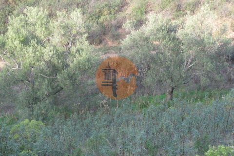 Helårsgrund i Castro Marim, Faro, Castro Marim - € 12.900 | Ref: SU-CS-TR-83880 - foto 7