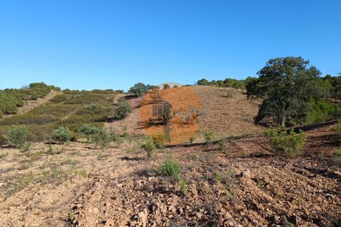 Helårsgrund i Castro Marim, Faro, Castro Marim - € 12.900 | Ref: SU-CS-TR-83880 - foto 12