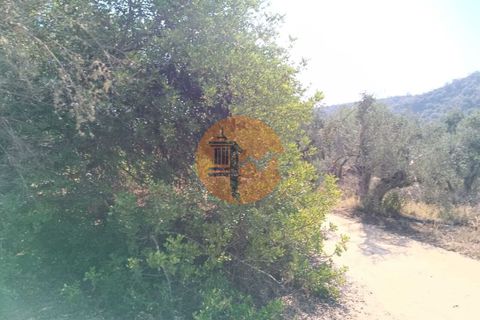 Tomt i Alcoutim, Faro, Alcoutim - € 32 000 | Ref: SU-CS-TR-87135 - foto 6