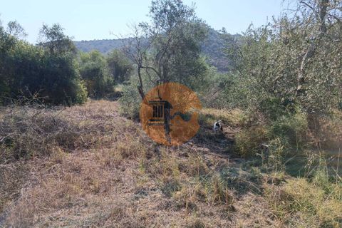 Tomt i Alcoutim, Faro, Alcoutim - € 32 000 | Ref: SU-CS-TR-87135 - foto 8
