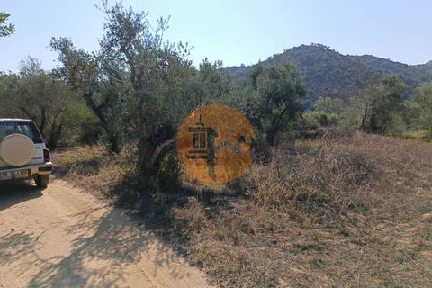 Tomt i Alcoutim, Faro, Alcoutim - € 32 000 | Ref: SU-CS-TR-87135 - foto 12
