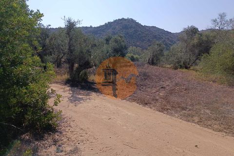 Tomt i Alcoutim, Faro, Alcoutim - € 32 000 | Ref: SU-CS-TR-87135 - foto 13