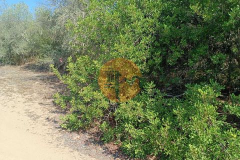 Tomt i Alcoutim, Faro, Alcoutim - € 32 000 | Ref: SU-CS-TR-87135 - foto 22