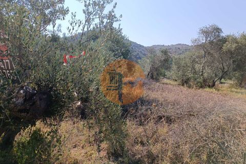 Tomt i Alcoutim, Faro, Alcoutim - € 32 000 | Ref: SU-CS-TR-87135 - foto 23