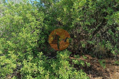 Tomt i Alcoutim, Faro, Alcoutim - € 32 000 | Ref: SU-CS-TR-87135 - foto 24