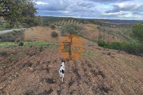 Helårsgrund i Castro Marim, Faro, Castro Marim - € 159.000 | Ref: SU-CS-TU-86276 - foto 3