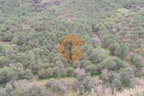 Helårsgrund i Castro Marim, Faro, Castro Marim - € 129.000 | Ref: SU-CS-TER-88641 - foto 4
