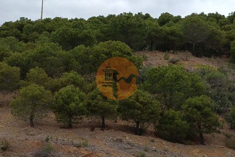 Helårsgrund i Castro Marim, Faro, Castro Marim - € 129.000 | Ref: SU-CS-TER-88641 - foto 6