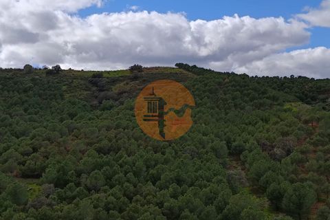 Helårsgrund i Castro Marim, Faro, Castro Marim - € 129.000 | Ref: SU-CS-TER-88641 - foto 22
