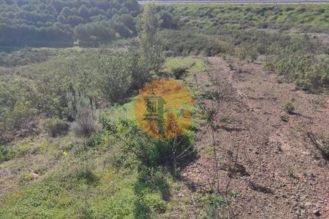 Helårsgrund i Castro Marim, Faro, Castro Marim - € 16.500 | Ref: SU-CS-TR-83991 - foto 2