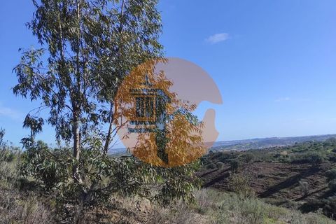 Helårsgrund i Castro Marim, Faro, Castro Marim - € 16.500 | Ref: SU-CS-TR-83991 - foto 12